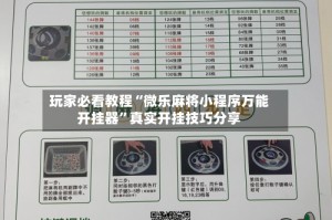 辅助挂机软件“微乐安徽麻将开挂版本软件”开挂(透视)辅助教程