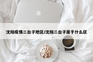 沈阳疫情二台子地区/沈阳二台子属于什么区